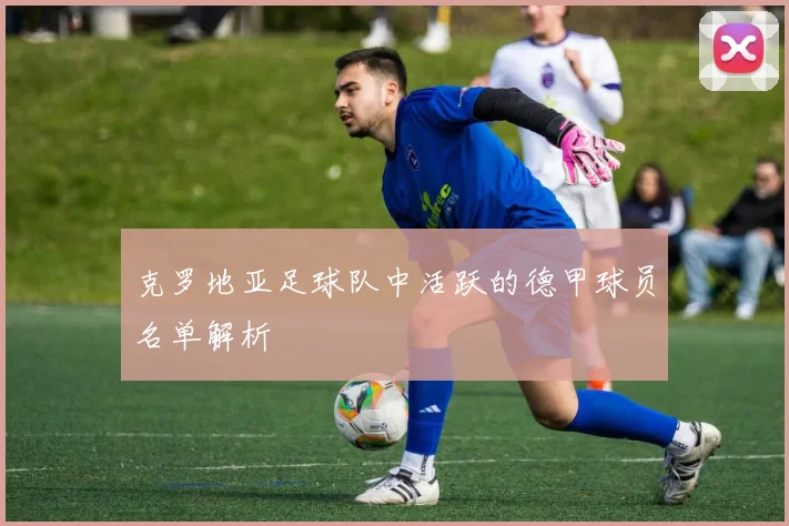 克罗地亚足球队中活跃的德甲球员名单解析