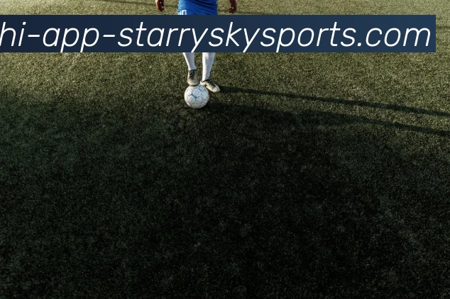 星空体育发展历程